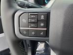 2025 Ford F-150 SuperCrew Cab 4x4 Pickup for sale #258235 - photo 26