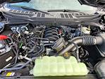 New 2025 Ford F-150 XL SuperCrew Cab 4x4 Pickup for sale #258240 - photo 11