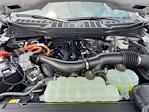 New 2025 Ford F-150 XLT SuperCrew Cab 4x4 Pickup for sale #258244 - photo 14