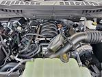 2025 Ford F-150 SuperCrew Cab 4x4 Pickup for sale #258249 - photo 16