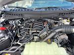 2025 Ford F-150 SuperCrew Cab 4x4 Pickup for sale #258250 - photo 16