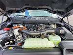 2025 Ford F-150 SuperCrew Cab 4x4 Pickup for sale #258252 - photo 14