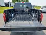 2025 Ford F-150 SuperCrew Cab 4x4 Pickup for sale #258253 - photo 9