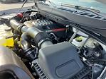 New 2025 Ford F-150 Raptor SuperCrew Cab 4x4 Pickup for sale #258260 - photo 17