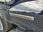 New 2025 Ford F-150 XLT SuperCrew Cab 4WD Pickup for sale #258264 - photo 12