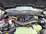 New 2025 Ford F-150 XLT SuperCrew Cab 4WD Pickup for sale #258264 - photo 14