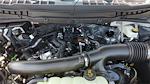 2025 Ford F-150 SuperCrew Cab 4WD Pickup for sale #258266 - photo 15