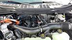 2025 Ford F-150 SuperCrew Cab 4WD Pickup for sale #258276 - photo 15