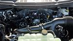 New 2025 Ford F-150 STX SuperCrew Cab 4WD Pickup for sale #258282 - photo 12