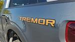 New 2025 Ford F-150 Tremor SuperCrew Cab 4WD Pickup for sale #258285 - photo 12