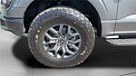 New 2025 Ford F-150 Tremor SuperCrew Cab 4WD Pickup for sale #258285 - photo 16