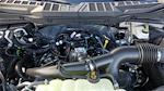 New 2025 Ford F-150 XLT SuperCrew Cab 4WD Pickup for sale #258289 - photo 10