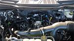 New 2025 Ford F-150 STX SuperCrew Cab 4WD Pickup for sale #258290 - photo 10