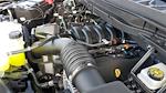 New 2025 Ford F-150 Tremor SuperCrew Cab 4WD Pickup for sale #258296 - photo 13