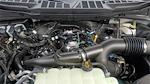 New 2025 Ford F-150 XLT SuperCrew Cab 4WD Pickup for sale #258297 - photo 11