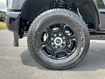 New 2025 Ford F-250 Crew Cab 4x4 Pickup for sale #258614 - photo 13