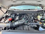 New 2025 Ford F-250 Crew Cab 4x4 Pickup for sale #258616 - photo 13