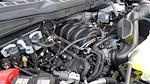 2026 Ford F-150 Regular Cab 4WD Pickup for sale #268200 - photo 14