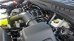 New 2026 Ford F-150 STX SuperCrew Cab for sale #268203 - photo 17