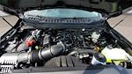 New 2026 Ford F-350 Crew Cab 4WD SRW Pickup for sale #268807 - photo 11