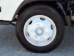 2024 Chevrolet LCF 4500HG Regular Cab DRW RWD Knapheide Box Truck for sale #E022 - photo 43