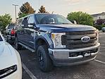 2018 Ford F-250 Crew Cab 4x4 Pickup for sale #SG553945A - photo 3