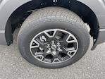 New 2025 Ford F-150 STX Super Cab 4WD Pickup for sale #D250062 - photo 12