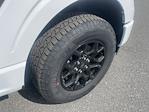 New 2025 Ford F-150 STX SuperCrew Cab 4WD Pickup for sale #D250103 - photo 12