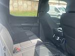 New 2025 Ford F-150 STX SuperCrew Cab 4WD Pickup for sale #D250103 - photo 17