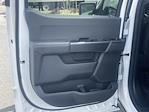 New 2025 Ford F-150 STX SuperCrew Cab 4WD Pickup for sale #D250103 - photo 18