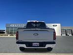 2025 Ford F-150 SuperCrew Cab 4x4 Pickup for sale #D250118 - photo 10