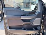 2023 Ford F-150 SuperCrew Cab 4x4 Pickup for sale #PFD03208 - photo 12