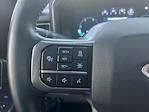 2024 Ford F-250 Crew Cab 4WD Pickup for sale #REE00989 - photo 17