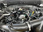 Used 2024 Ford F-150 STX SuperCrew Cab for sale #RKE62224 - photo 29