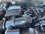 2025 Ford F-250 Crew Cab 4x4 Pickup for sale #SEC64859 - photo 29