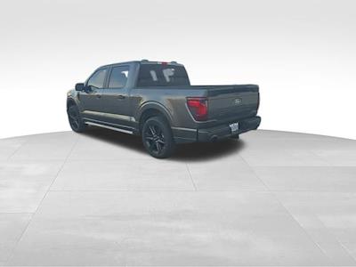 New 2025 Ford F-150 - photo 1