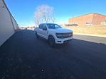2025 Ford F-150 SuperCrew Cab 4WD Pickup for sale #SFC54443 - photo 7