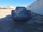 2026 Ford F-150 SuperCrew Cab 4WD Pickup for sale #TFA22878 - photo 10