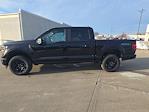 New 2026 Ford F-150 STX SuperCrew Cab for sale #TKD02022 - photo 3