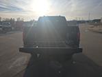 New 2026 Ford F-150 STX SuperCrew Cab for sale #TKD02022 - photo 9