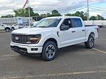 2025 Ford F-150 SuperCrew Cab 4WD Pickup for sale #58847 - photo 4
