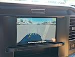 New 2025 Ford F-350 Regular Cab 4WD SRW Pickup for sale #58876 - photo 14