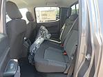 New 2025 Ford Ranger XLT SuperCrew Cab 4WD Pickup for sale #58948 - photo 8