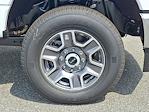 2025 Ford F-350 Regular Cab SRW 4WD Pickup for sale #58978 - photo 7