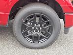 2025 Ford F-150 SuperCrew Cab 4WD Pickup for sale #58990 - photo 7
