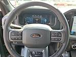 2025 Ford F-150 SuperCrew Cab 4WD Pickup for sale #58996 - photo 17