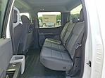 New 2025 Ford F-150 XL SuperCrew Cab 4WD Pickup for sale #59020 - photo 8