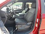 New 2025 Ford F-150 STX SuperCrew Cab 4WD Pickup for sale #59026 - photo 11