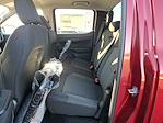 New 2025 Ford Ranger XL SuperCrew Cab for sale #59281 - photo 8