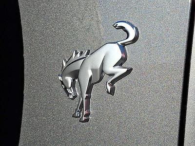 New 2025 Ford Bronco - photo 1